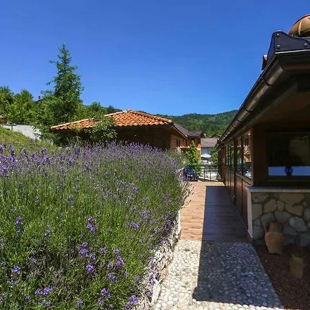 Lavanda